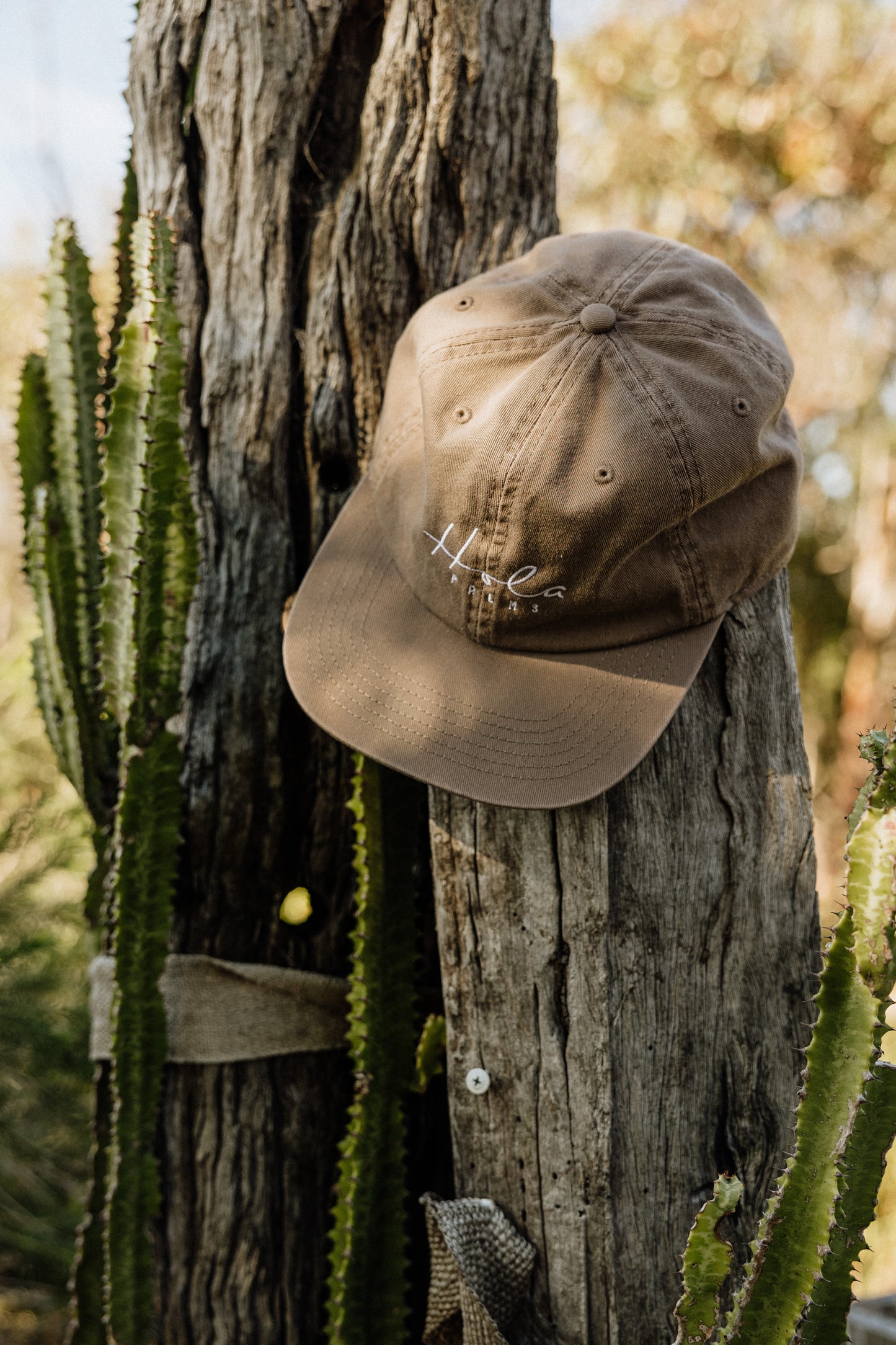 Embroidered Logo Hat